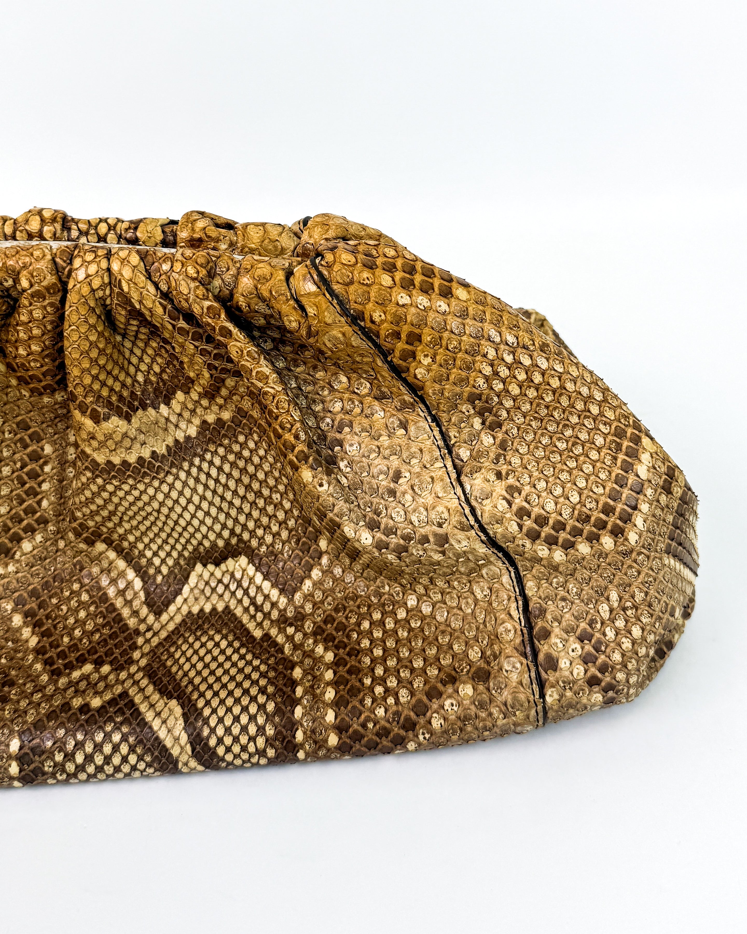 Bottega Veneta Python-Embossed Pouch Medium Rare