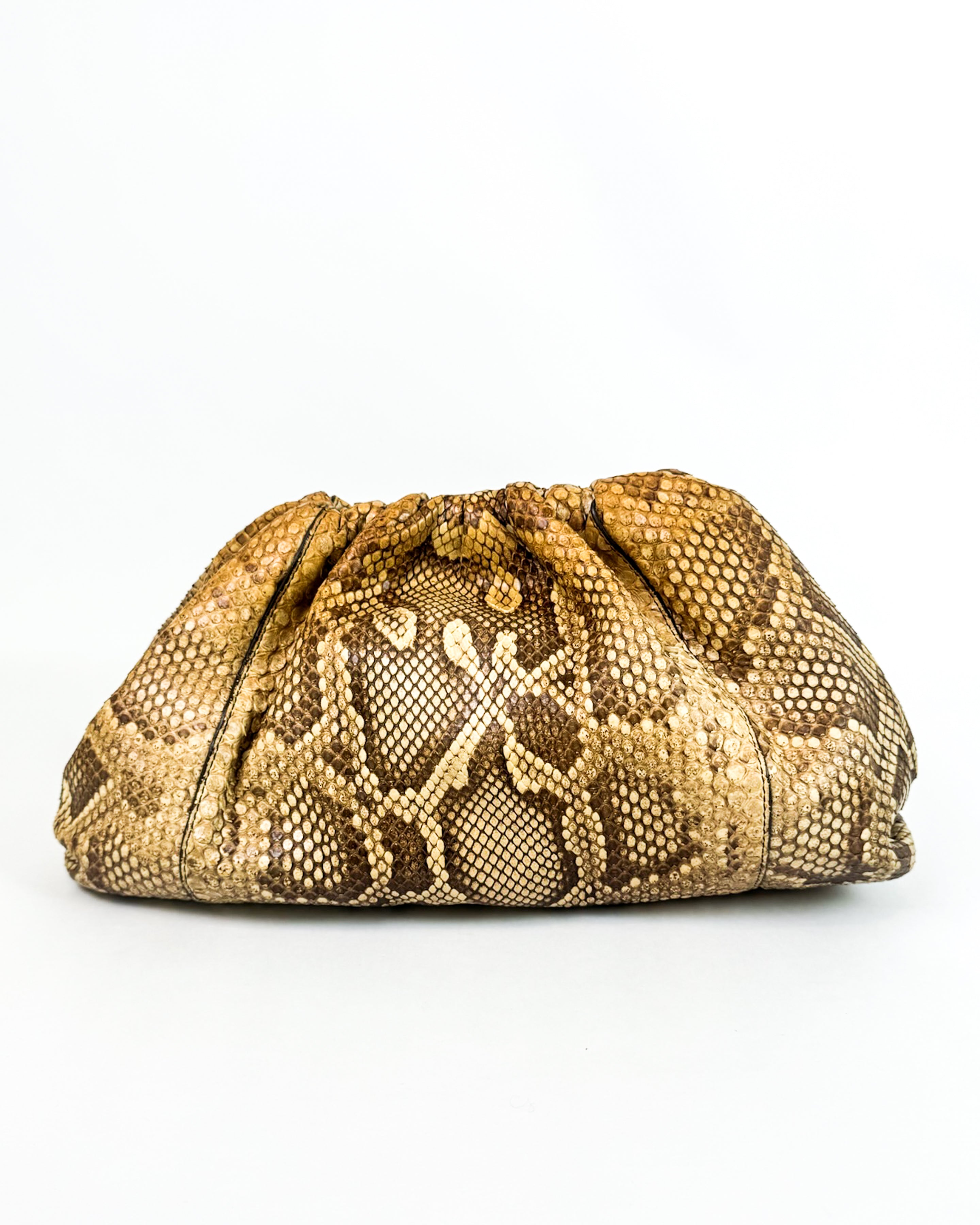 Bottega Veneta Python-Embossed Pouch Medium Rare