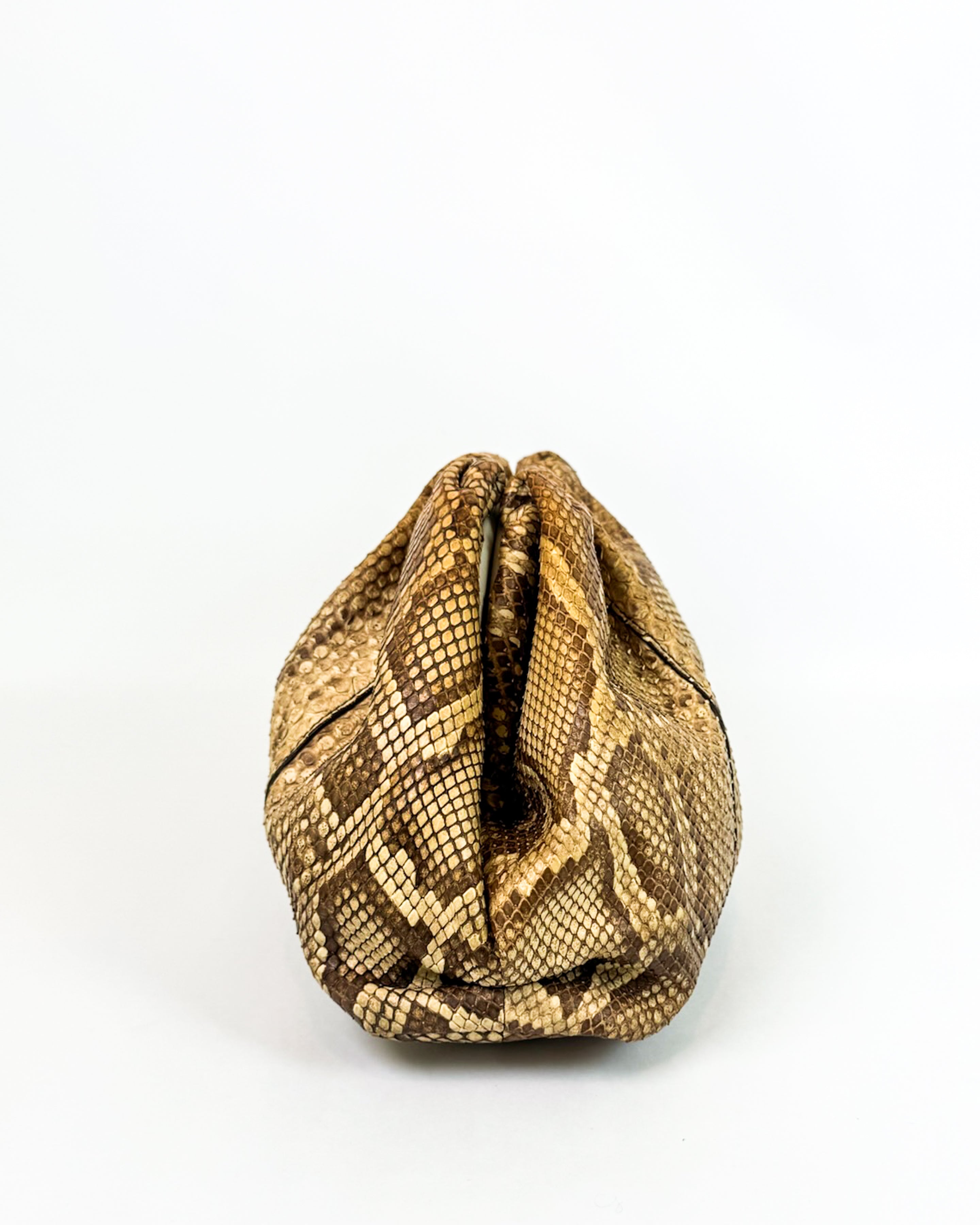 Bottega Veneta Python-Embossed Pouch Medium Rare