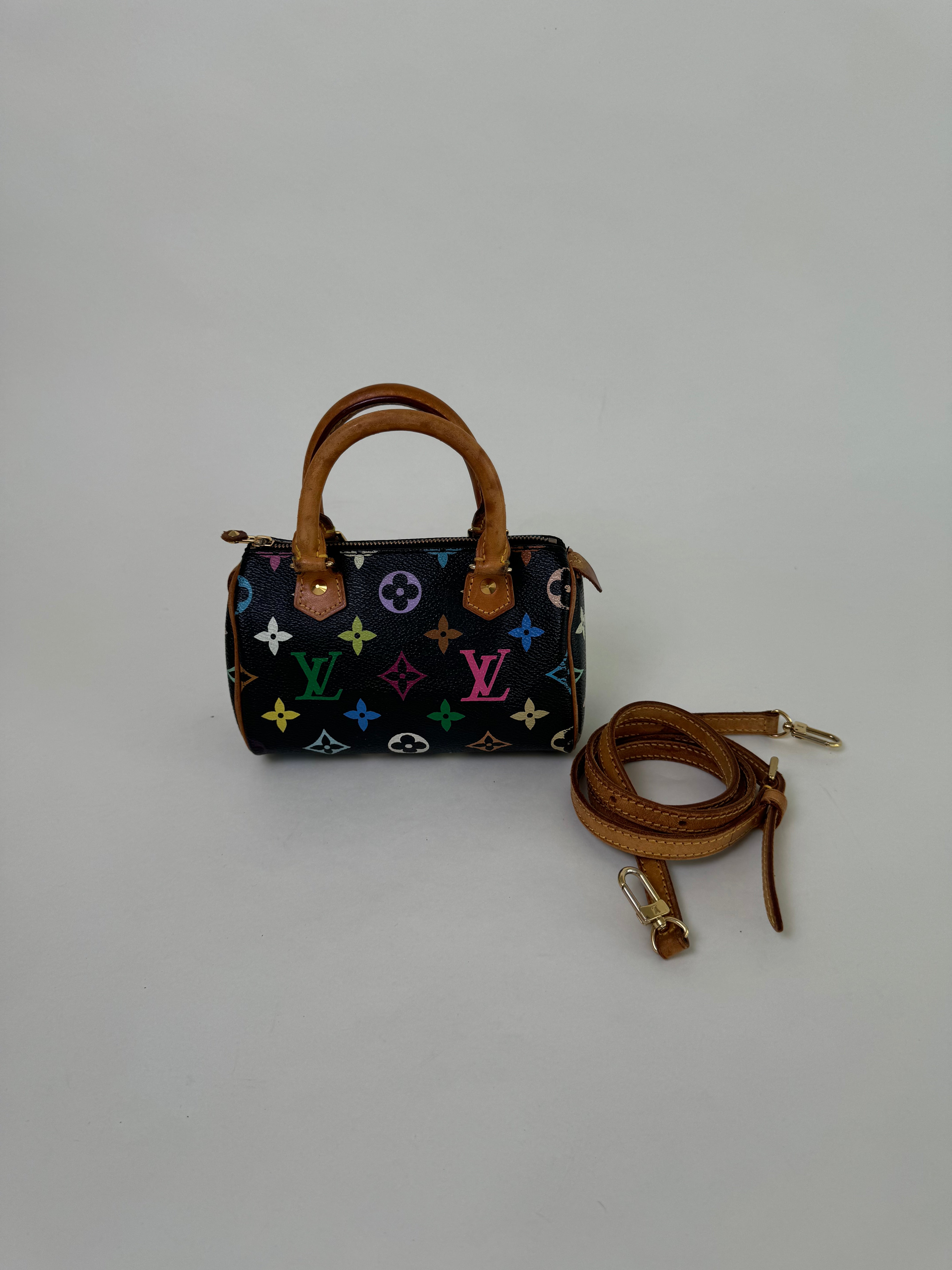 Louis Vuitton x Takashi Murakami Speedy