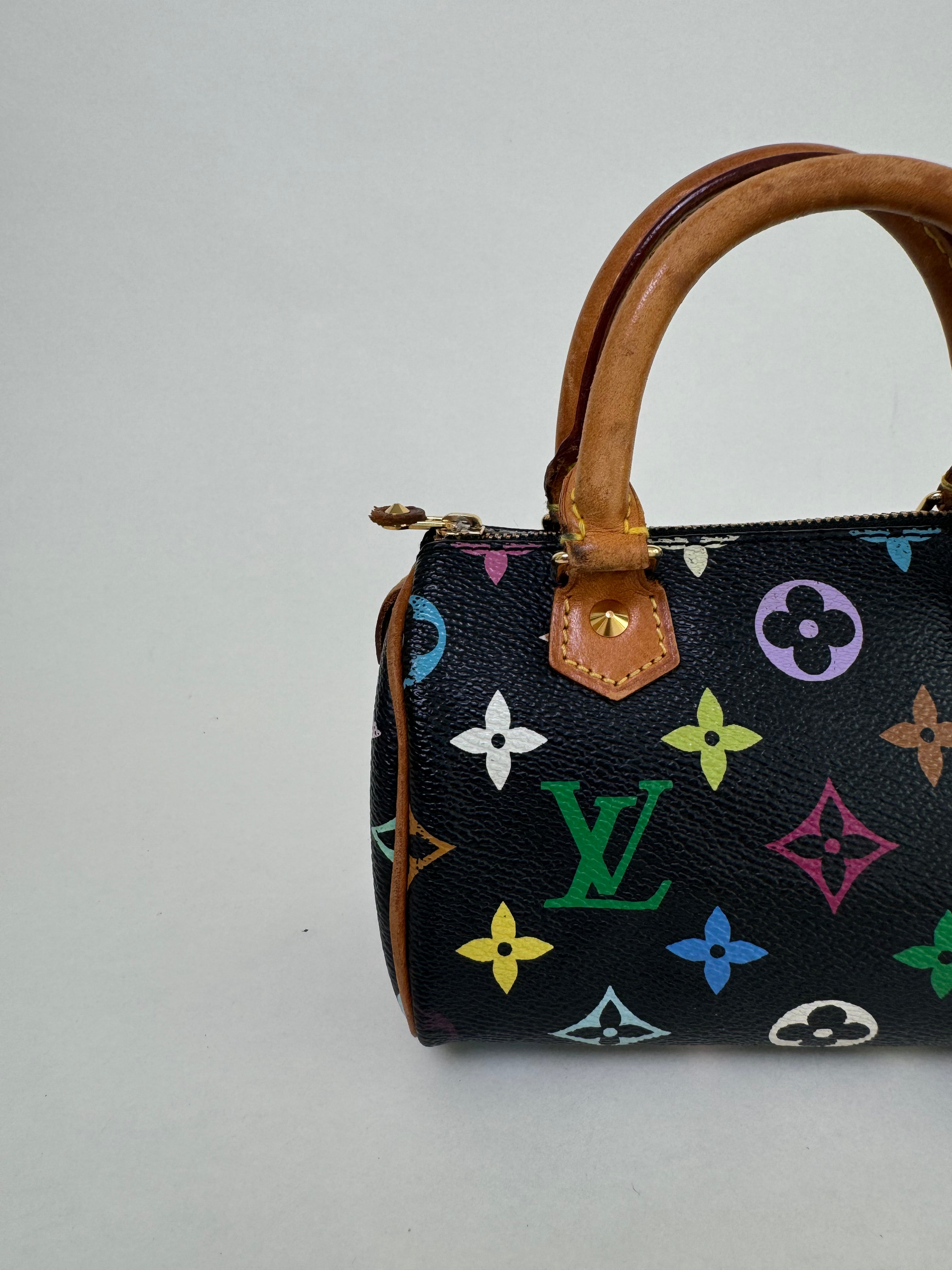 Louis Vuitton x Takashi Murakami Speedy