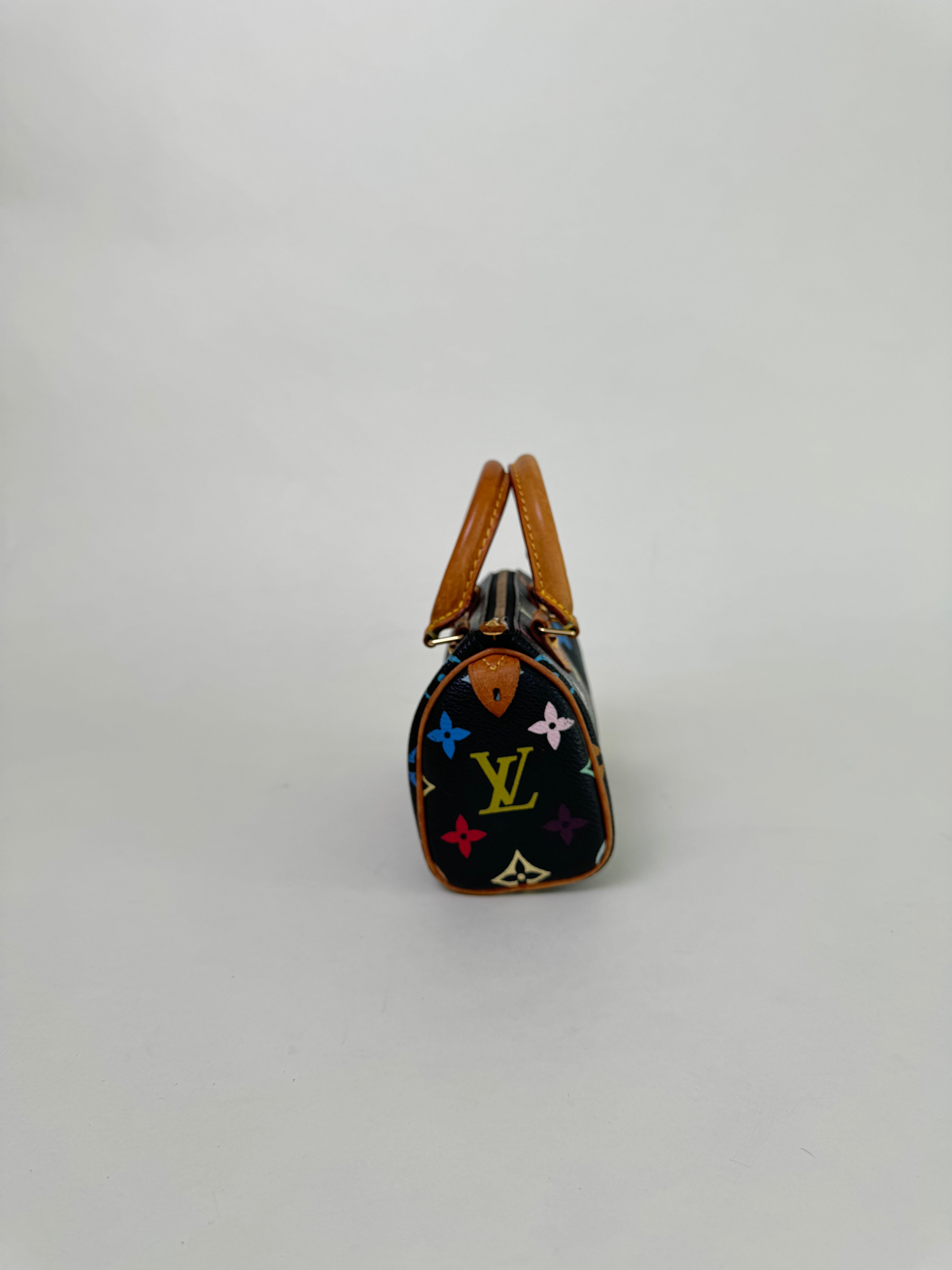 Louis Vuitton x Takashi Murakami Speedy