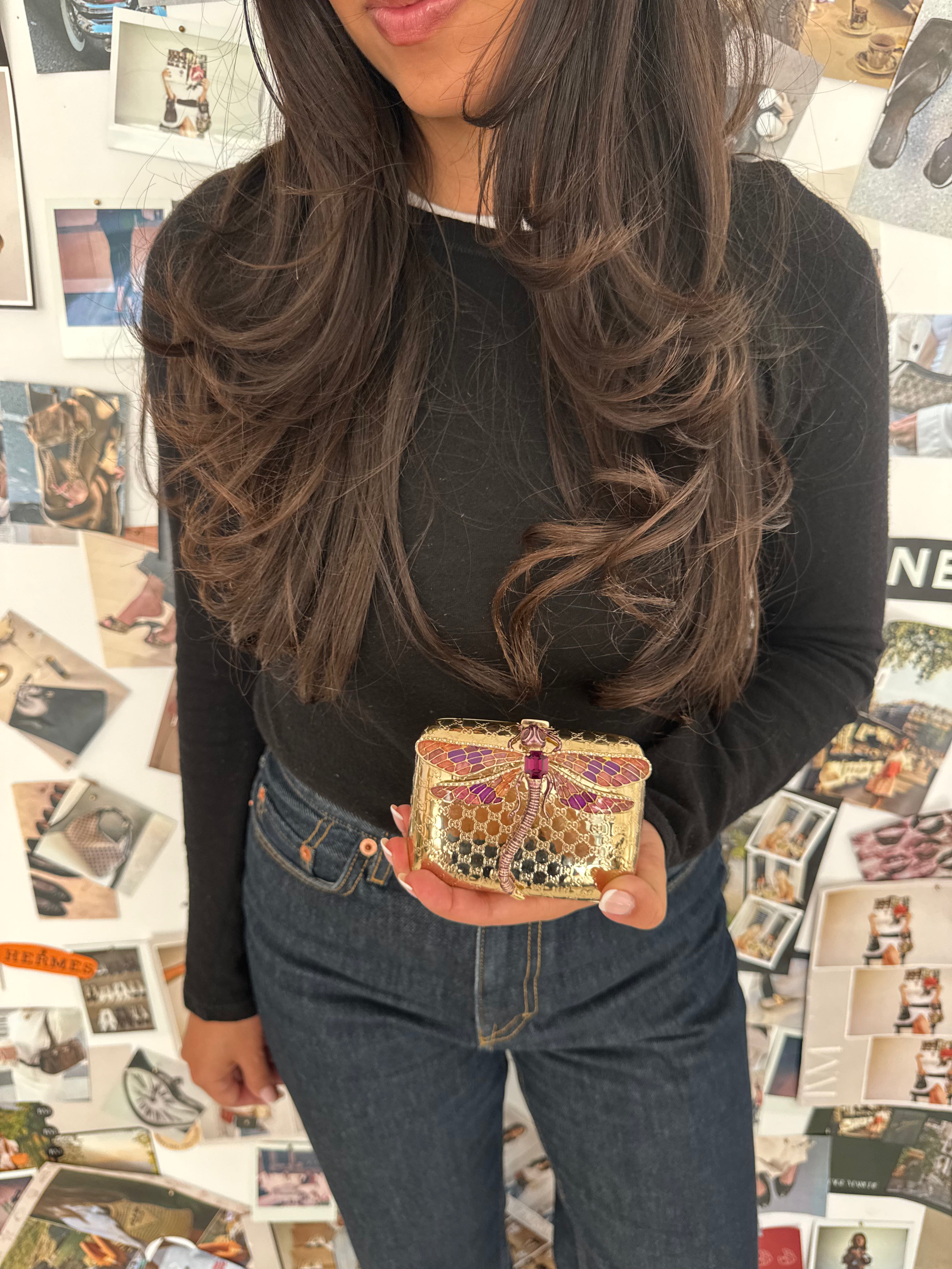 Gucci Dragonfly Minaudière Clutch Rare